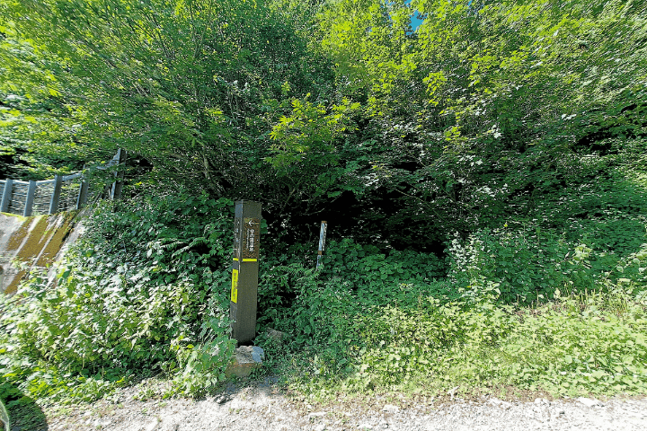 草木に囲まれた新中の湯登山口の入り口