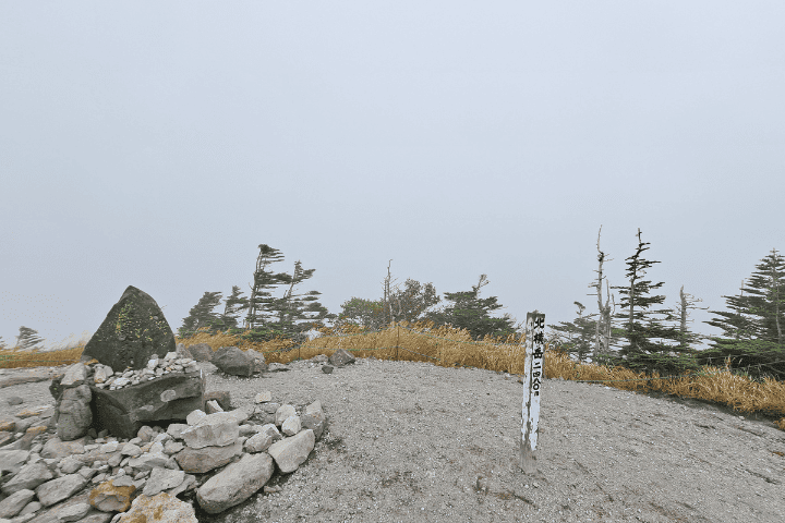 ガスに包まれた北横岳北峰(2,480m)の山頂。山頂標識とケルン、風に耐える木々