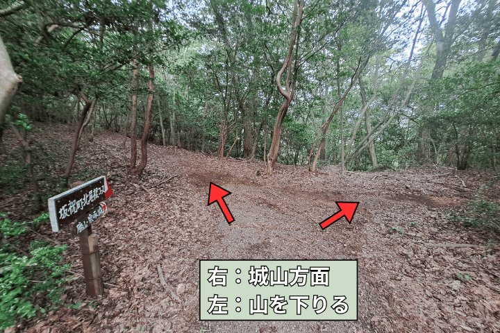 城山方面と下山方向に分かれる登山道の分岐と道標