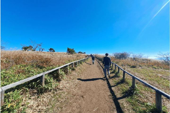 木の柵に沿って続く高ボッチ山への土の道。両側にススキが広がる
