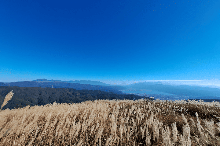 高ボッチ山の山頂から見た諏訪湖と山並み。手前はススキ
